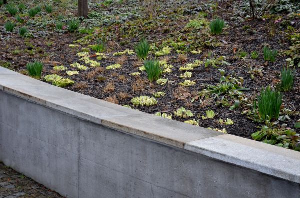 Concrete Wall Construction in Edmonds