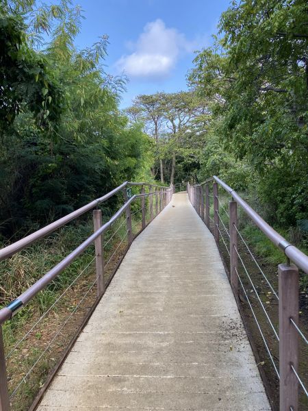 Footpath Construction in Edmonds