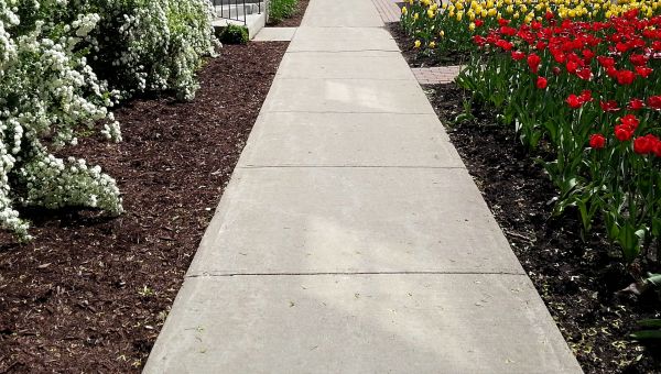 Cement Sidewalk Installation in Edmonds