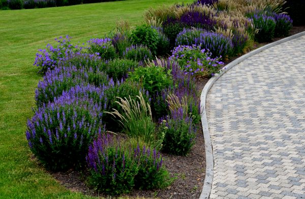 Sidewalk Curb Installation in Edmonds