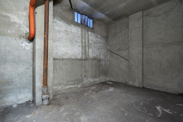 Basement Wall Construction in Edmonds