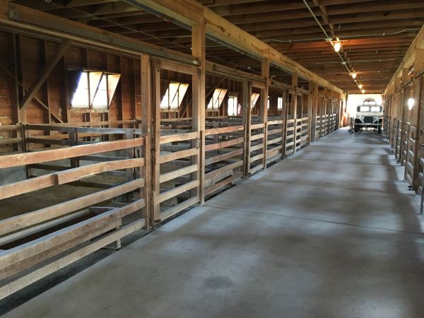Barn Slab Construction in Edmonds