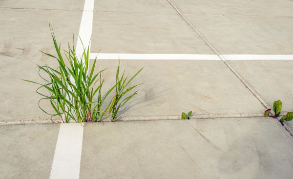 Concrete Parking Installation in Edmonds