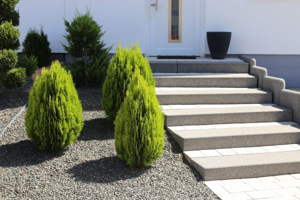 Exterior Steps Construction in Edmonds