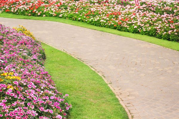 Concrete Walkway Service in Edmonds